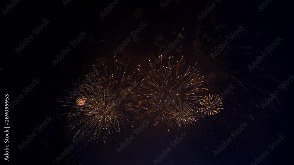 Dazzling fireworks illuminate the night sky. On the moonlit sky bright fireworks. Dazzling fireworks illuminate the night sky. On the moonlit sky bright fireworks.