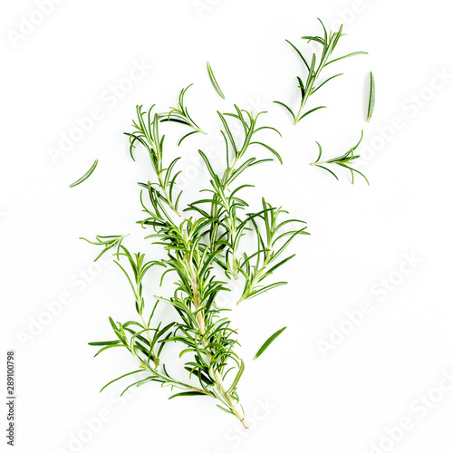 Green branchs and leaves of rosemary isolated on a white background. Мedicinal herbs. Flat lay. Top view