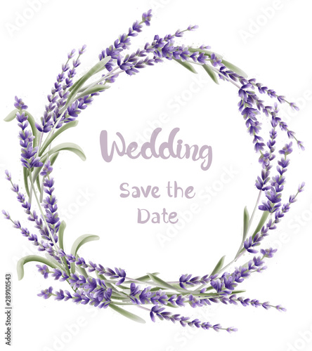 Lavender wreath wedding card vector watercolor. Isolated background. Provence...