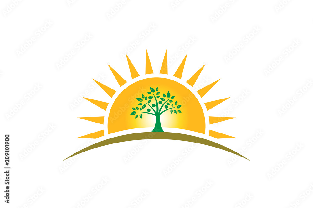 People Tree Family in sunshine logo. Family of four persons tree strong People Tree Family in sunshine logo. Family of four persons tree strong