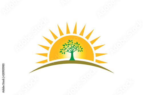 People Tree Family in sunshine logo. Family of four persons tree strong