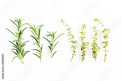 Green branchs of rosemary and thyme isolated on a white background. Flat lay. Top view