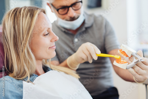 Εκτύπωση καμβά Dentist giving a demonstration on dental hygiene
