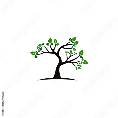 Tree vector icon. logo design elements.