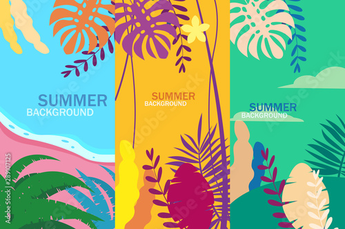 Set summer tropical template backgrounds stories with palms, sky and sunset