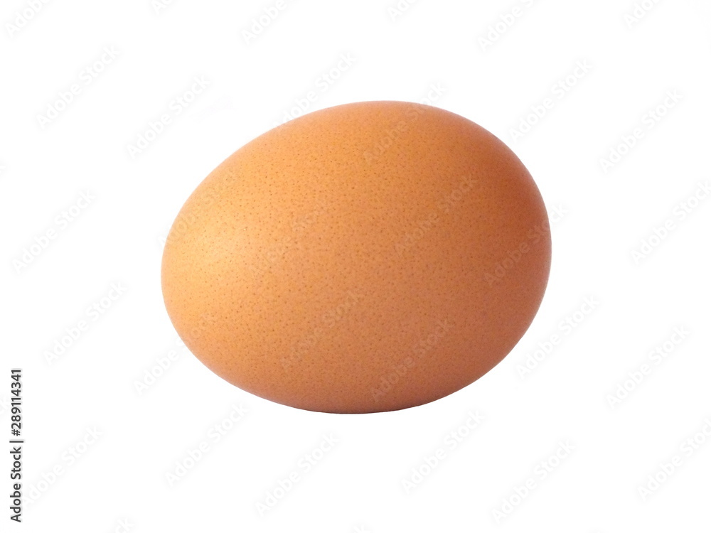 egg isolated on white background egg isolated on white background