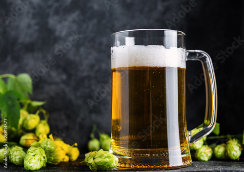 Mug of lager light beer on a dark background with green hops