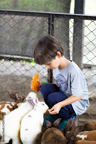Happy Boy Playing with Rabbit