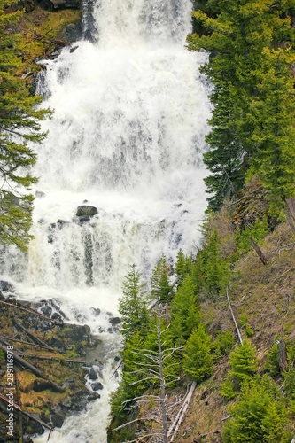 waterfall in forest