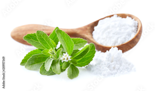 Stevia plant  with stevia powder on white background photo