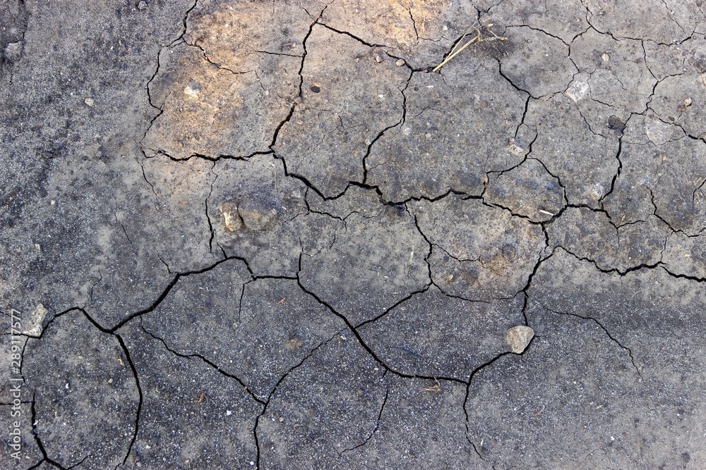 Obraz premium the sun's rays fall a little shrinkage cracks on dry land
