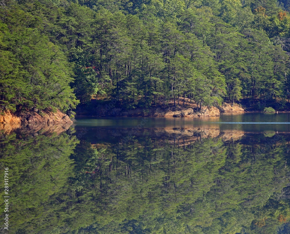 lake in forest lake in forest