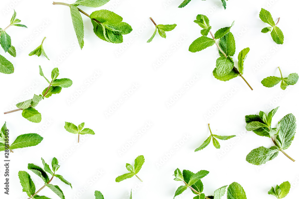 Frame from мint branchs and leaves isolated on white background. Set of peppermint. Mint Pattern. Flat lay. Top view. Frame from мint branchs and leaves isolated on white background. Set of peppermint. Mint Pattern. Flat lay. Top view.