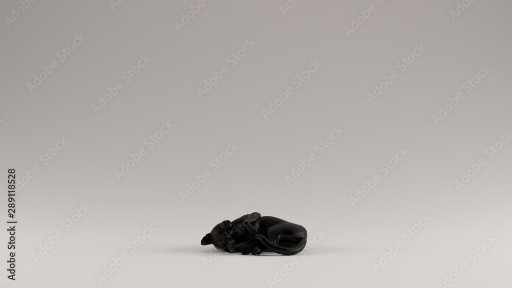 Naklejka premium Black Cat Curled Up Pose 3d 