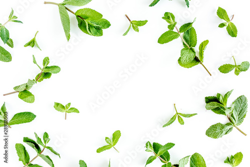 Frame from мint branchs and leaves isolated on white background. Set of peppermint. Mint Pattern. Flat lay. Top view.