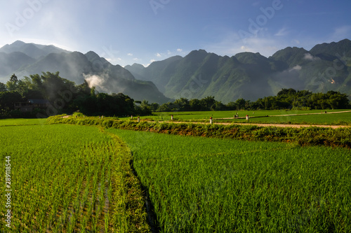 Rice fields of Mai Chau, Hoa Binh province, Vietnam, surrounded by karst peaks.  photo