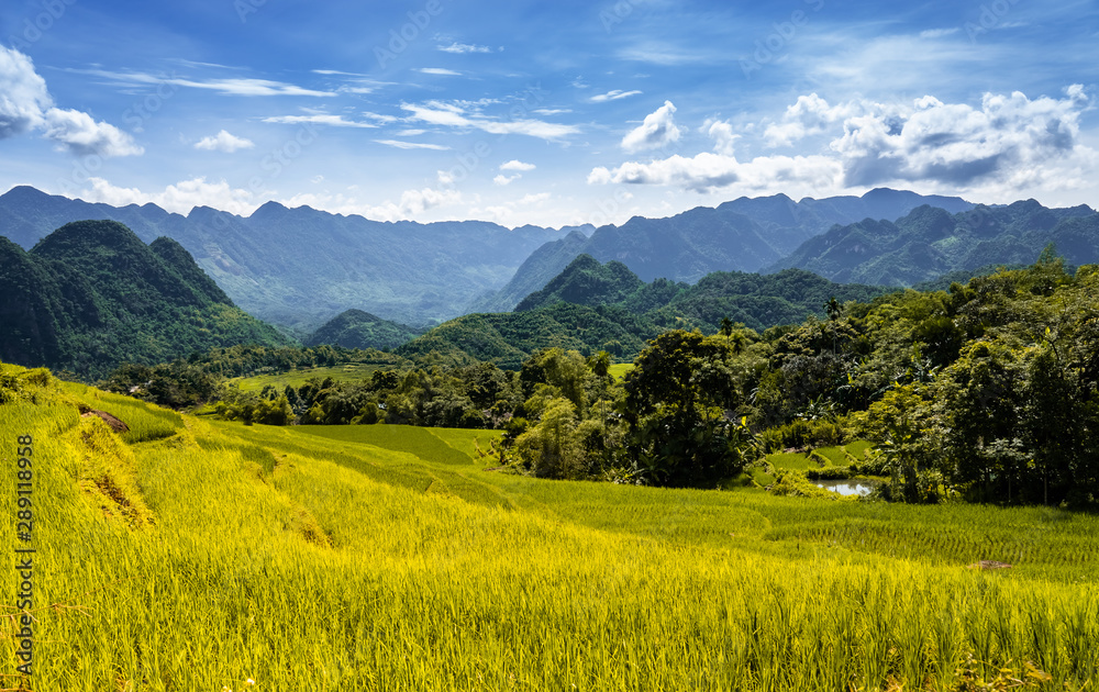 Φωτογραφία Terraced green and yellow rice fields of Pu Luong, close to Mai Chau in Thanh Hoa province