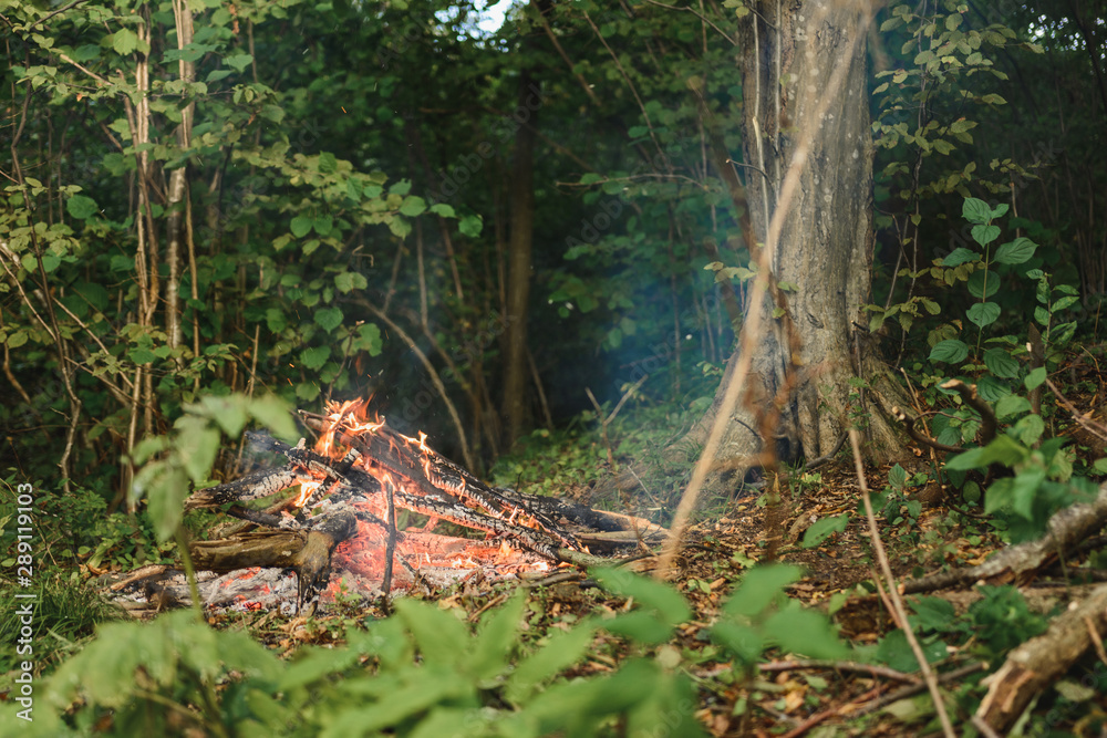 Setting a fire in a forest for picnic, texture and background. 2019 Setting a fire in a forest for picnic, texture and background. 2019