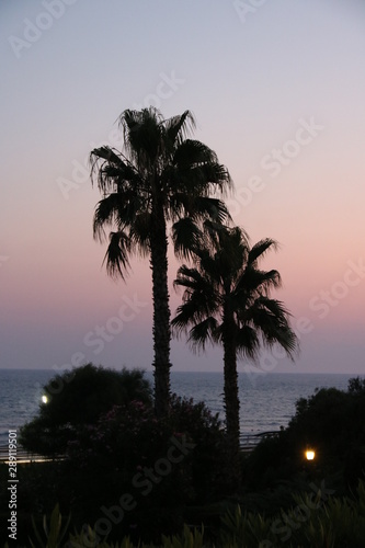 Palmen am Meer bei Sonnenuntergang © contadora1999