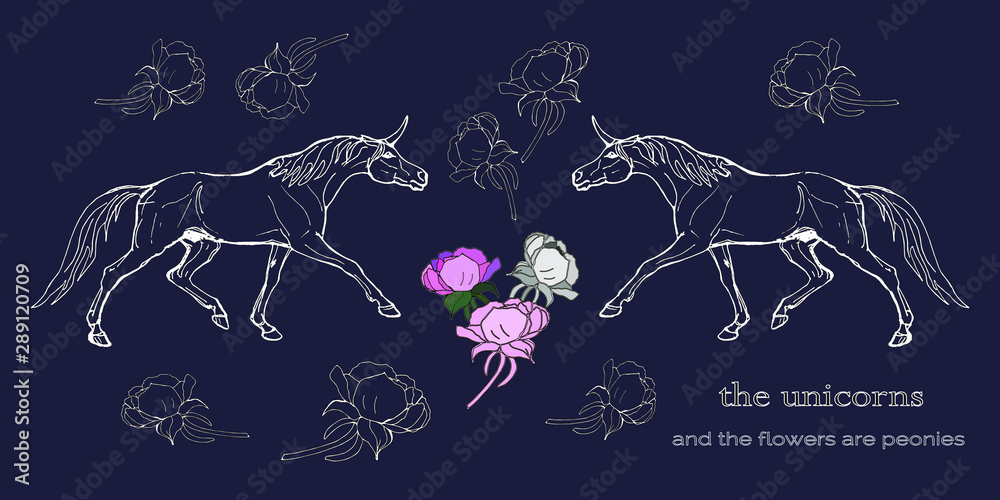 vector isolated image of  isolated silhouettes  unicorns on black background, peony flowers, contours