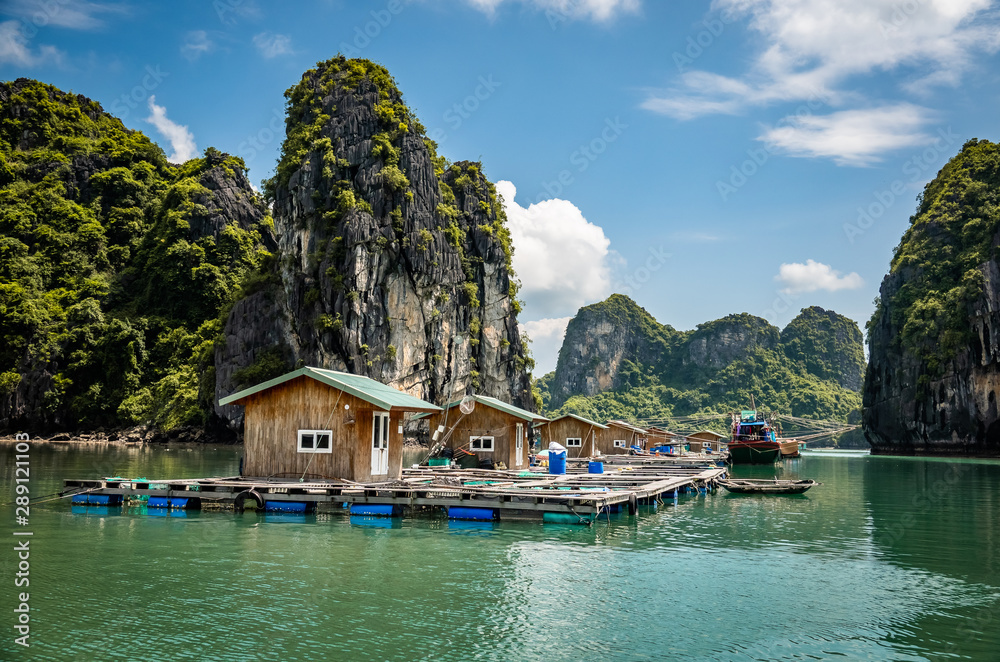 Fototapeta premium Vung Vieng floating fishing village at Bai tu Long Bai / Halong Bay, Vietnam.