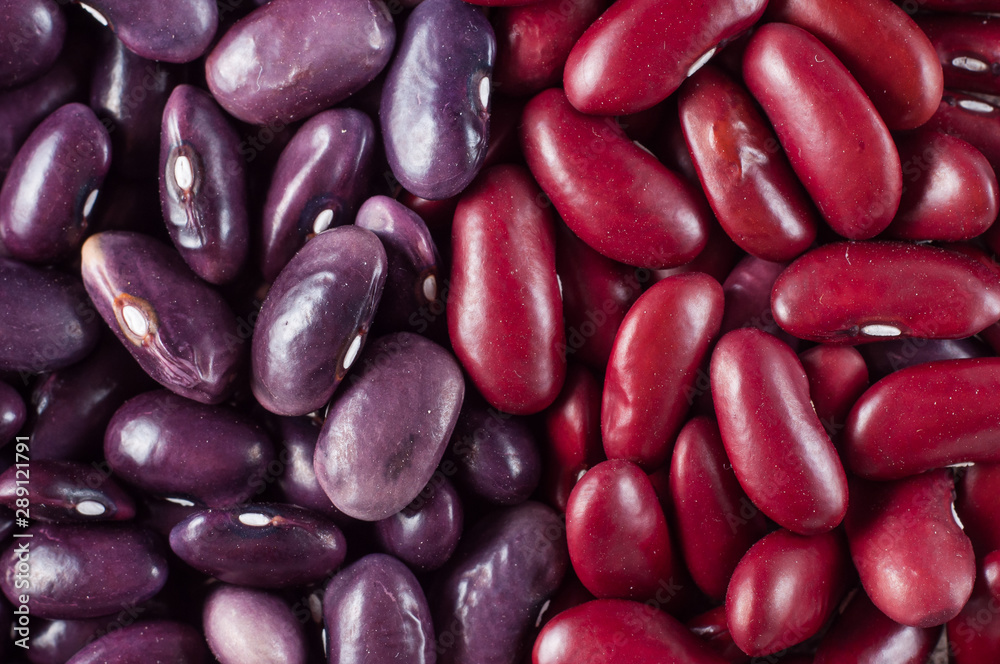 Beans of a variety cultivating and kidney close-up in one plastic container Beans of a variety cultivating and kidney close-up in one plastic container