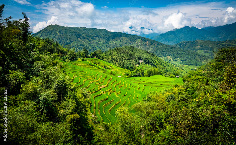 Landscape of Vietnam, terraced rice fields of Hoang Su Phi district, Ha Giang province. Spectacular rice fields. 