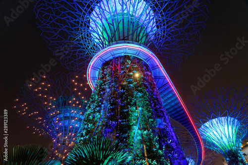 Gardens By The Bay Light Show