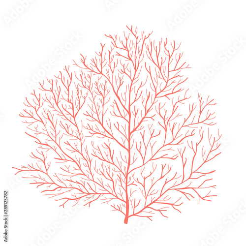 Sea coral silhouette. Vector illustration EPS 10 isolated on white background