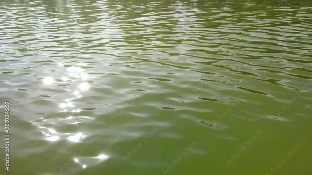 Glare of sunlight on the surface of the water Glare of sunlight on the surface of the water