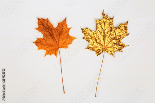 Two maple leaves, one natural yellow or orange, the other painted gold color on light concrete background. Autumn concept.