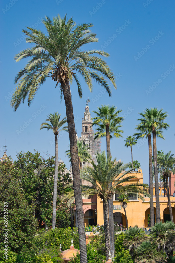 Jardines del Real Alcazar de Sevilla y Giralda al fondo