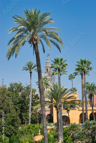 Jardines del Real Alcazar de Sevilla y Giralda al fondo © David Andres