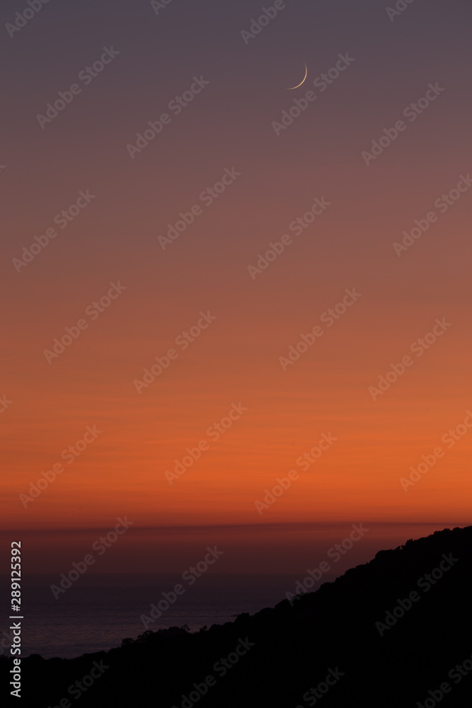 Obraz premium moon in sunset