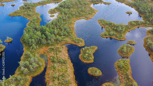 Aerial shooting from the drone. Beautiful landscape with Islands and lake. Turquoise water and beautiful winding shores with coniferous forests and wild beaches.