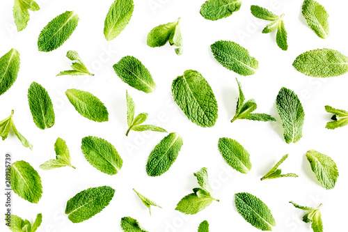 Mint leaves isolated on white background. Set of peppermint. Mint Pattern. Flat lay. Top view.