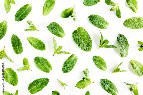 Texture, pattern мint leaves isolated on white background. Set of peppermint. Mint Pattern. Flat lay. Top view.