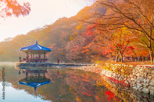 Tourist taking photo during Autumn Maple in Naejangsan national park,Colorful autumn season in South Korea,tourist attraction in South korea..