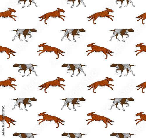 Vector seamless pattern of hunting dog isolated on white background