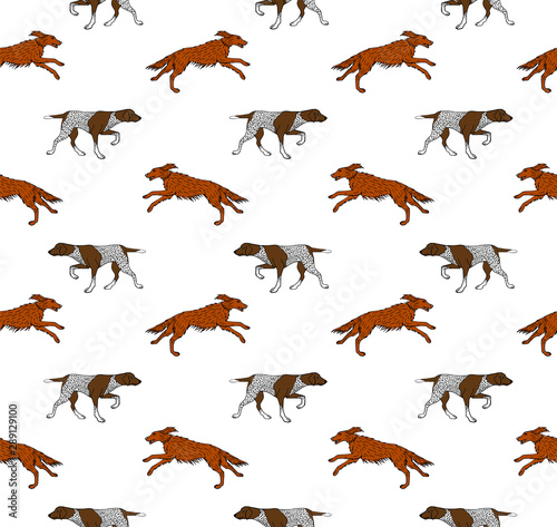 Vector seamless pattern of hunting dog isolated on white background
