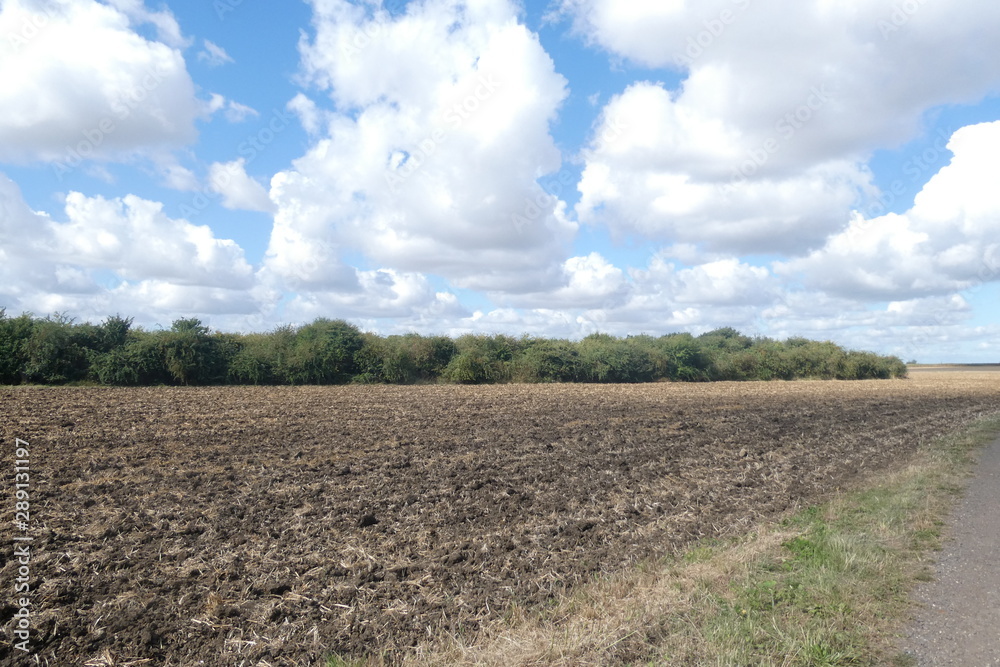 Obraz premium White Clouds