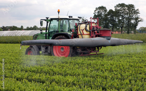 Horticulture. Tree nursery Netherlands. Tractor spraying