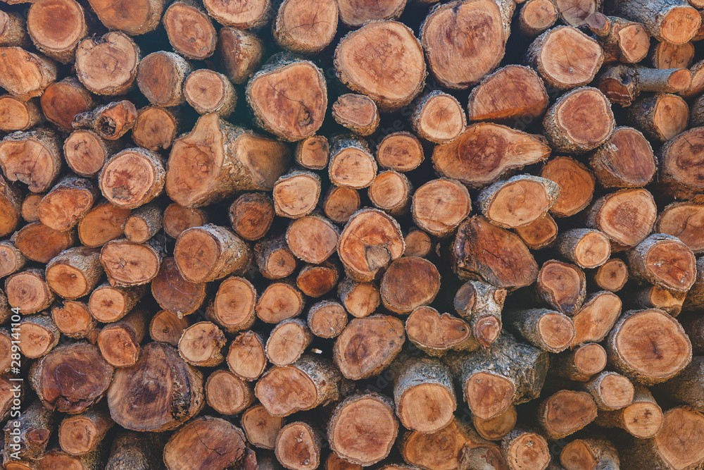 close up of wooden cut pile stack texture background close up of wooden cut pile stack texture background