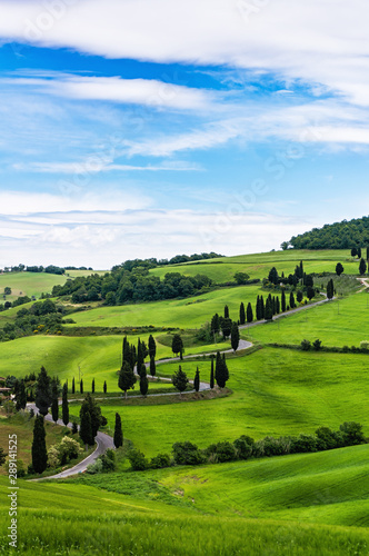 Windy road near Montepulciano