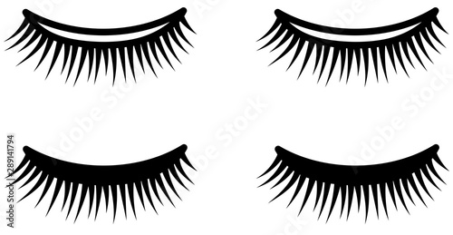 False eyelashes in colored and line versions