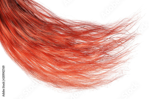 Lush red hair, isolated on white background