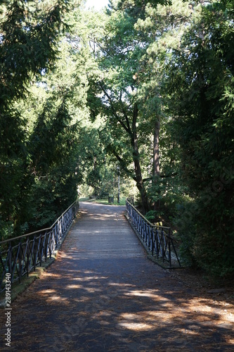 Brücke im Türkenschanzpark Wien