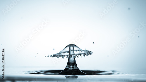 Close-up of a water drop falling on water surface