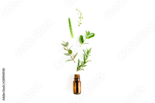 Essential oil and mix of herbs, green branches, leaves eucalyptus, aloe Vera, rosemary, thyme on white background. Set of medicinal herbs. Flat lay. Top view.