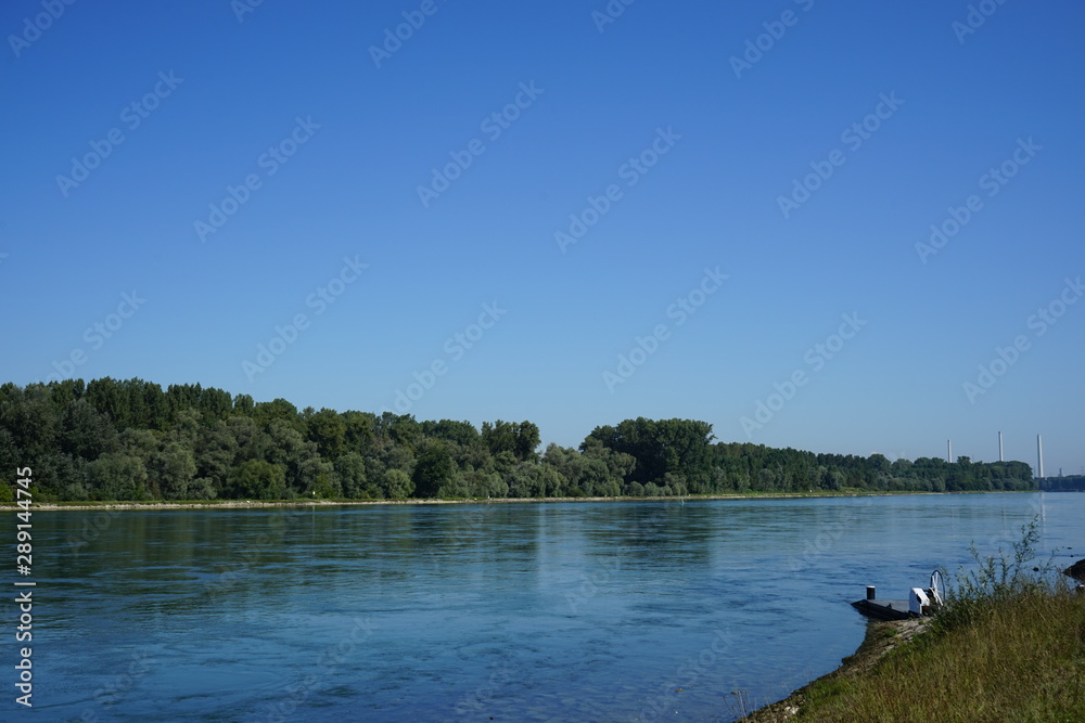 Rhein bei Neuburgweier